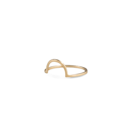 Anasa ring