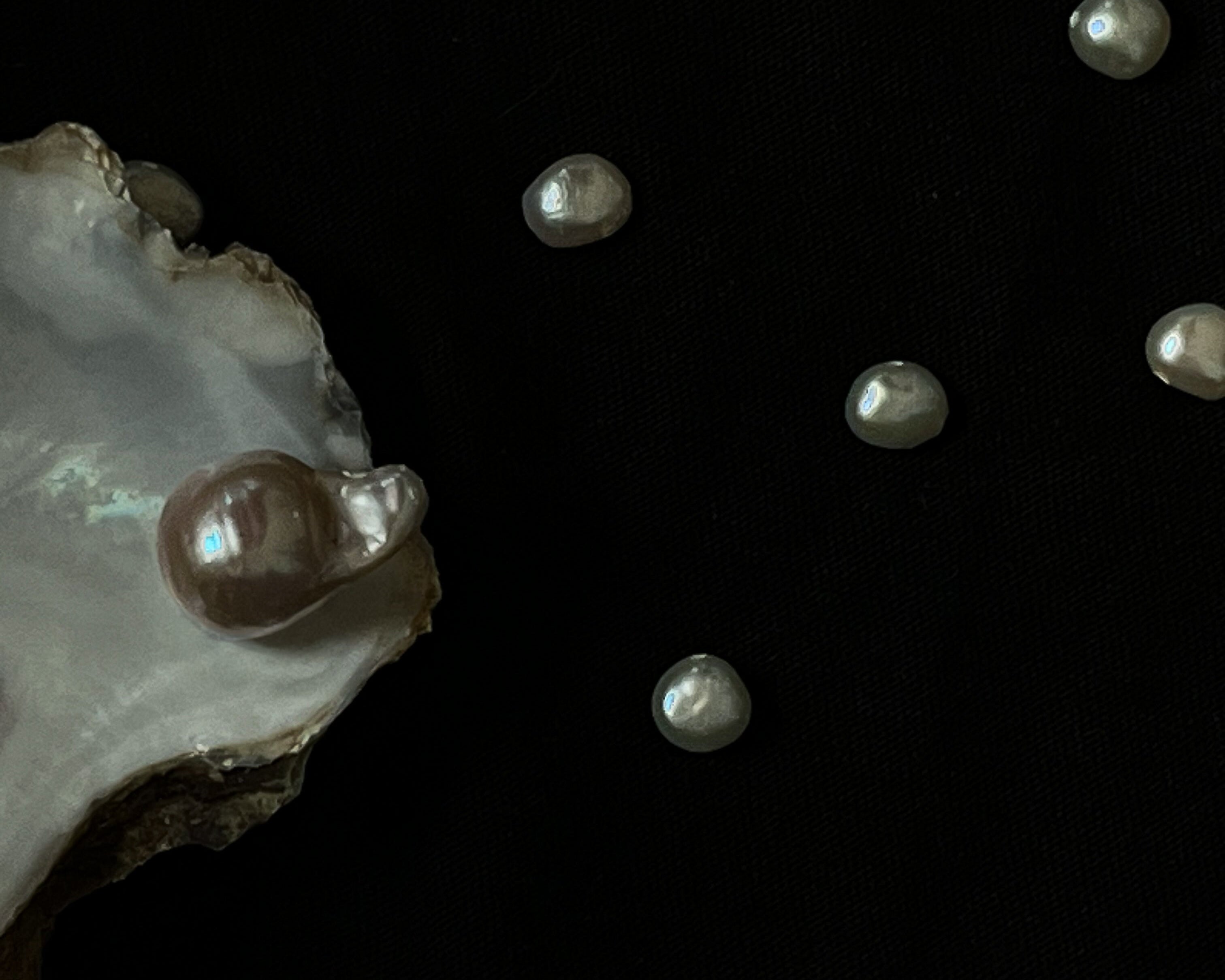 Aankondiging oester schelp met barokparel en losse parels waaruit de nieuwe sieraden gevormd gaan worden Tilburg