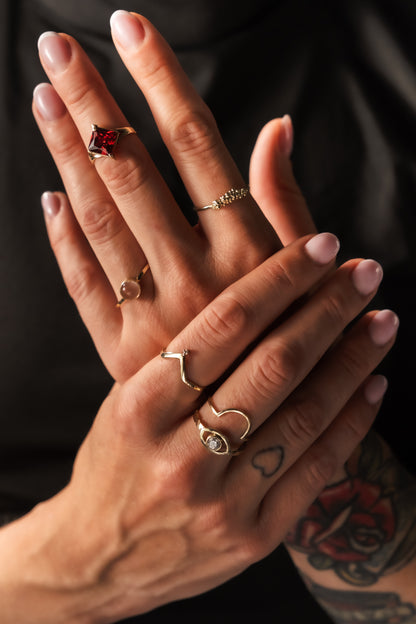 Anasa ring